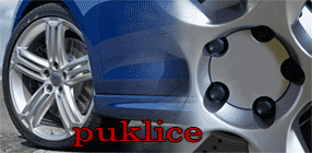 puklice.gif